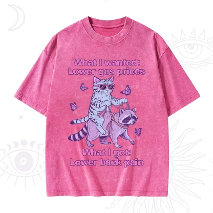 Purplehecate Lower Gas Prices Lower Back Pain Cat Washed T-Shirt