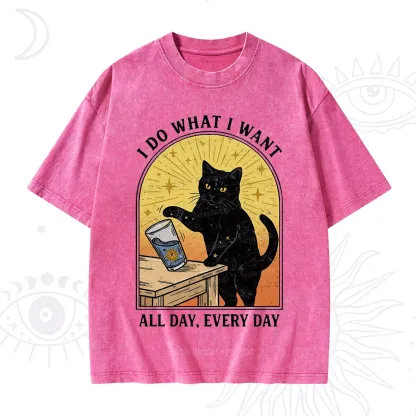 Purplehecate I Do What I What Washed T-Shirt