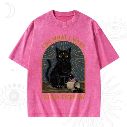 Purplehecate I Do What I What All Day Washed T-Shirt