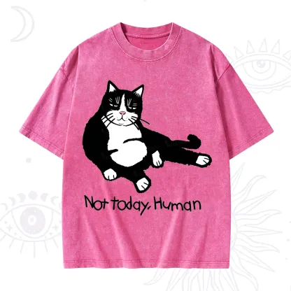Purplehecate Not Today Human Funny Cat Washed T-Shirt