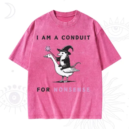 Purplehecate I Am A Conduit For Nonsense Washed T-Shirt