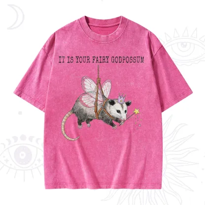 Purplehecate It Is Your Fairy Godpossum Washed T-Shirt