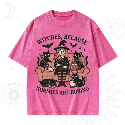 Purplehecate Witches Because Normies Are Boring Washed T-Shirt