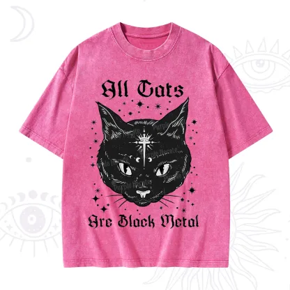 Purplehecate All Cats Are Black Metal Washed T-Shirt