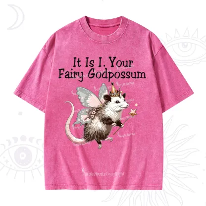 Purplehecate It Is I Your Fairy Godpossum Washed T-Shirt