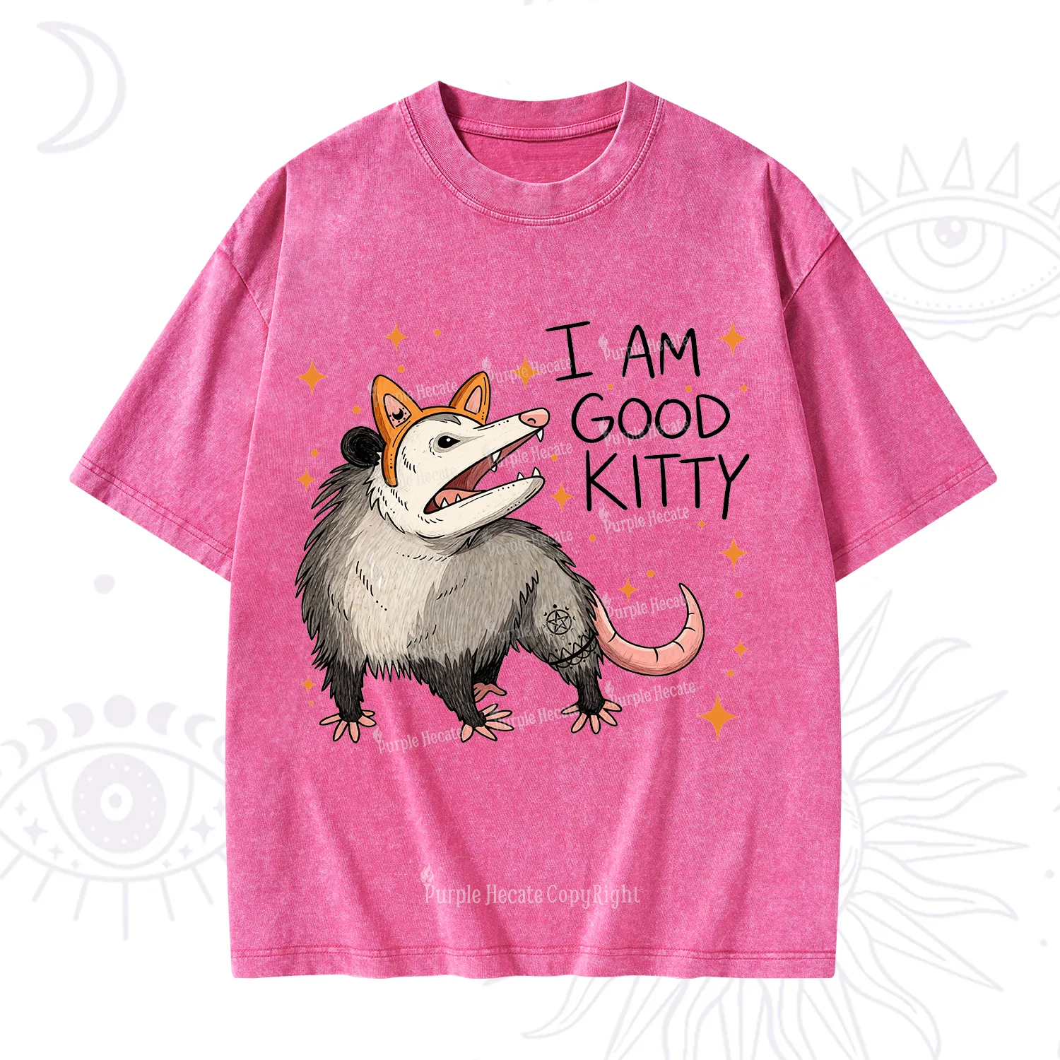 Purplehecate Funny Opossum I Am Good Kitty Washed T-Shirt