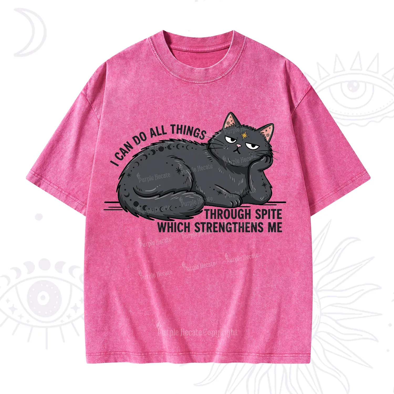 Purplehecate I Can Do All Things Spiteful Cat Washed T-Shirt