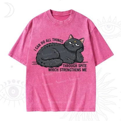 Purplehecate I Can Do All Things Spiteful Cat Washed T-Shirt