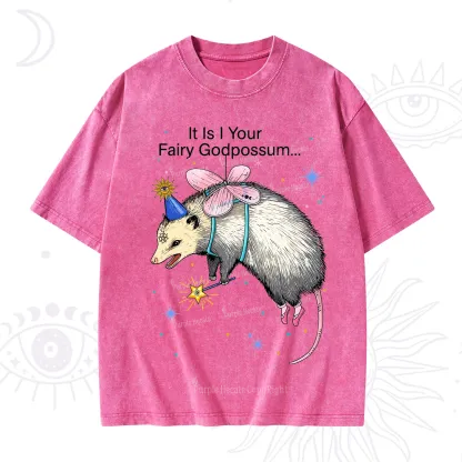Purplehecate It Is I Your Fairy Godpossum Washed T-Shirt