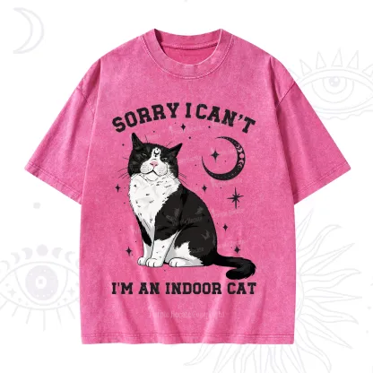 Purplehecate Sorry I Can't Go I'm an Indoor Cat Washed T-Shirt
