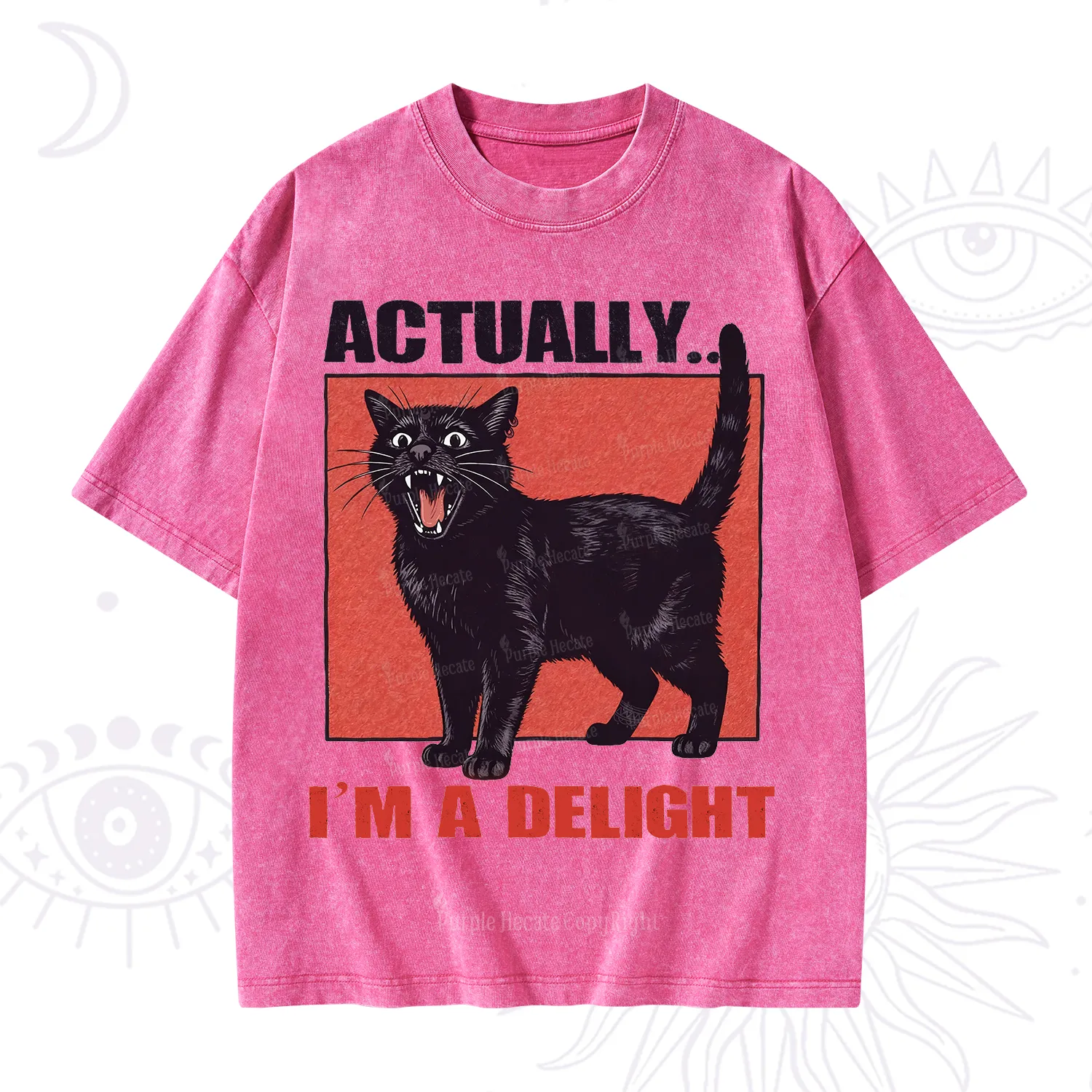 Purplehecate Actually Im a Delight Washed T-Shirt