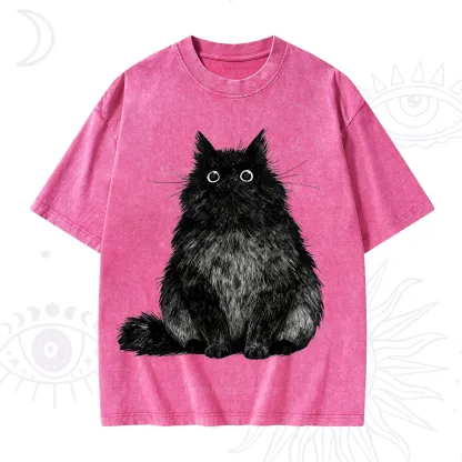 Purplehecate Cute Black Fluffy Cat Washed T-Shirt