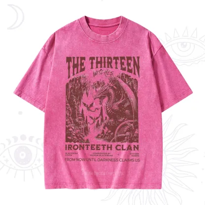 Purplehecate Thirteen Winged Sisters Washed T-Shirt