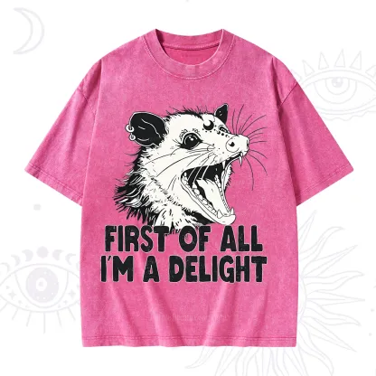 Purplehecate First Of All I'm A Delight Washed T-Shirt