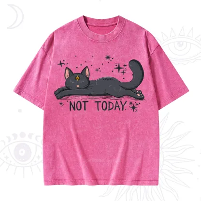 Purplehecate Not Today Cat Washed T-Shirt