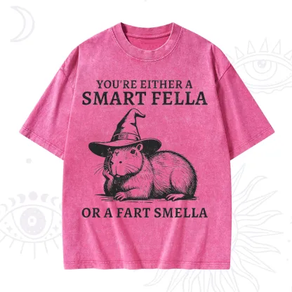 Purplehecate You're Either A Smart Fella or a Smart Fella Washed T-Shirt