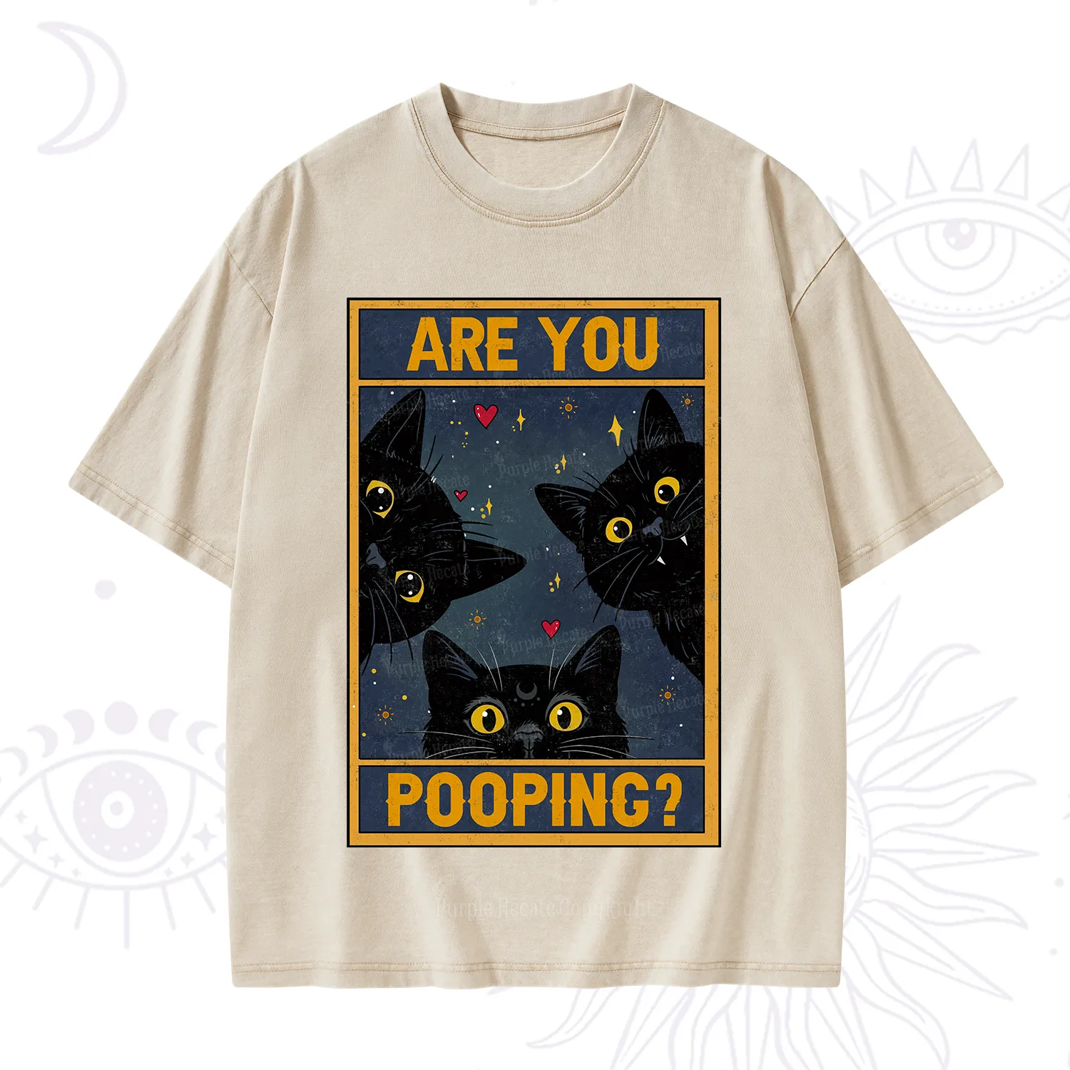 Purplehecate Funny Black Cat Are You Pooping Washed T-Shirt