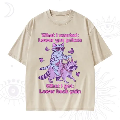 Purplehecate Lower Gas Prices Lower Back Pain Cat Washed T-Shirt