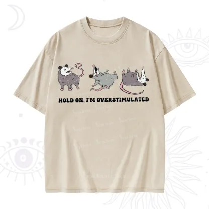 Purplehecate Hold On I'm Overstimulated Washed T-Shirt