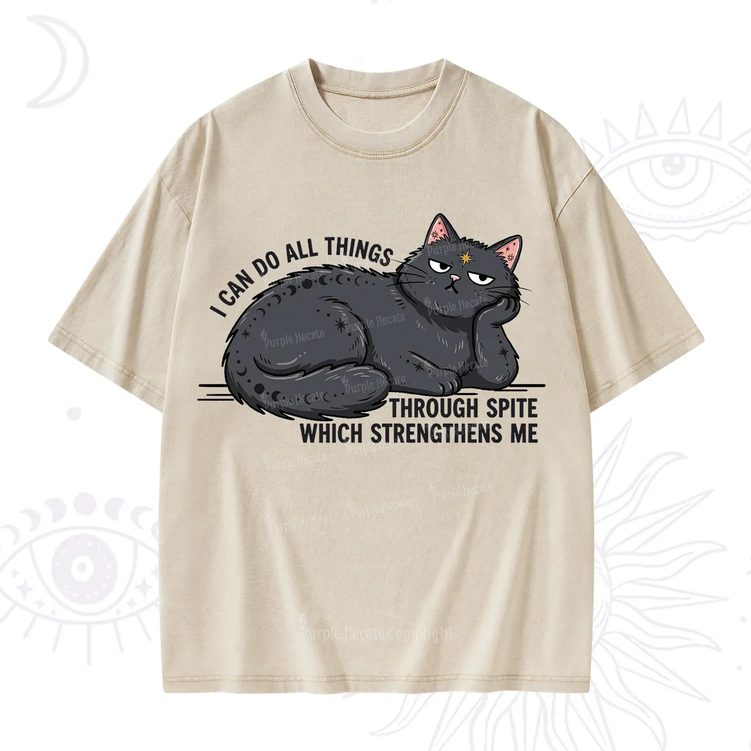 Purplehecate I Can Do All Things Spiteful Cat Washed T-Shirt