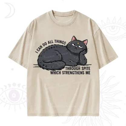Purplehecate I Can Do All Things Spiteful Cat Washed T-Shirt