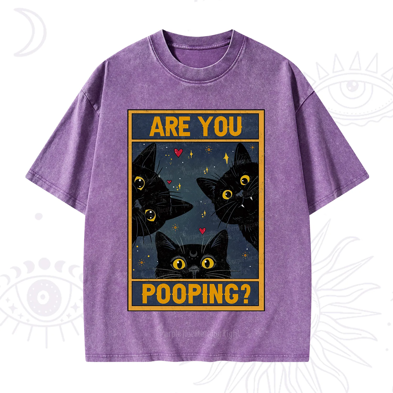 Purplehecate Funny Black Cat Are You Pooping Washed T-Shirt
