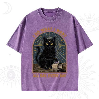 Purplehecate I Do What I What All Day Washed T-Shirt