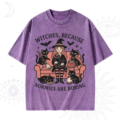 Purplehecate Witches Because Normies Are Boring Washed T-Shirt