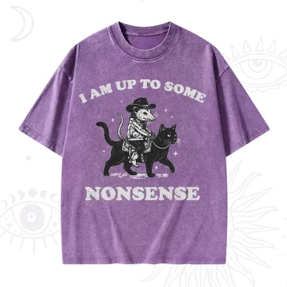 Purplehecate I Am Up To Some Nonsense Opossum Washed T-Shirt
