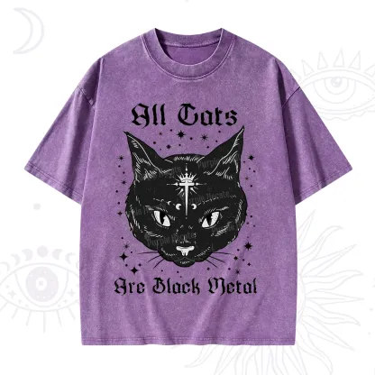 Purplehecate All Cats Are Black Metal Washed T-Shirt