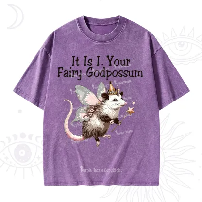 Purplehecate It Is I Your Fairy Godpossum Washed T-Shirt