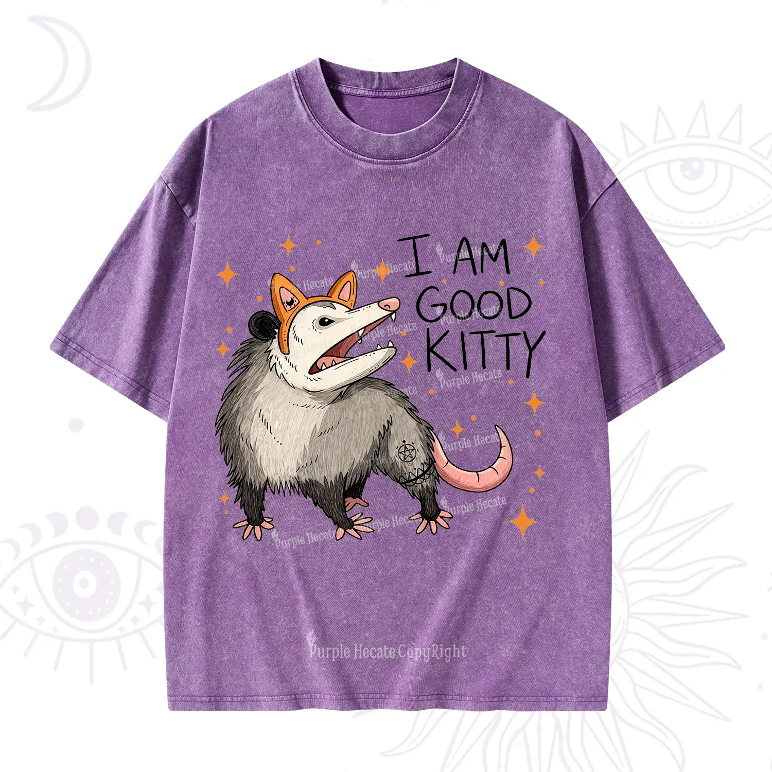 Purplehecate Funny Opossum I Am Good Kitty Washed T-Shirt