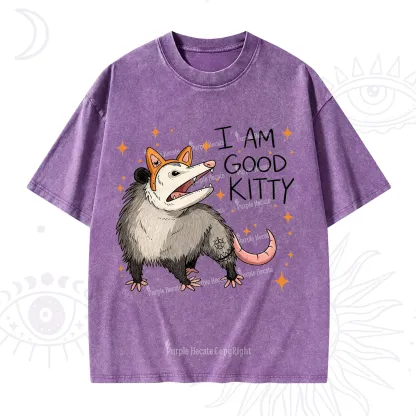 Purplehecate Funny Opossum I Am Good Kitty Washed T-Shirt