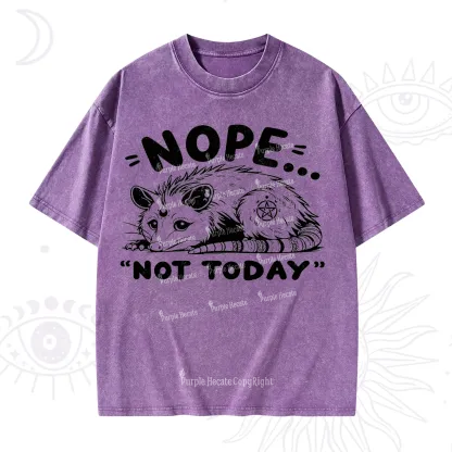 Purplehecate Not Today Possum Washed T-Shirt