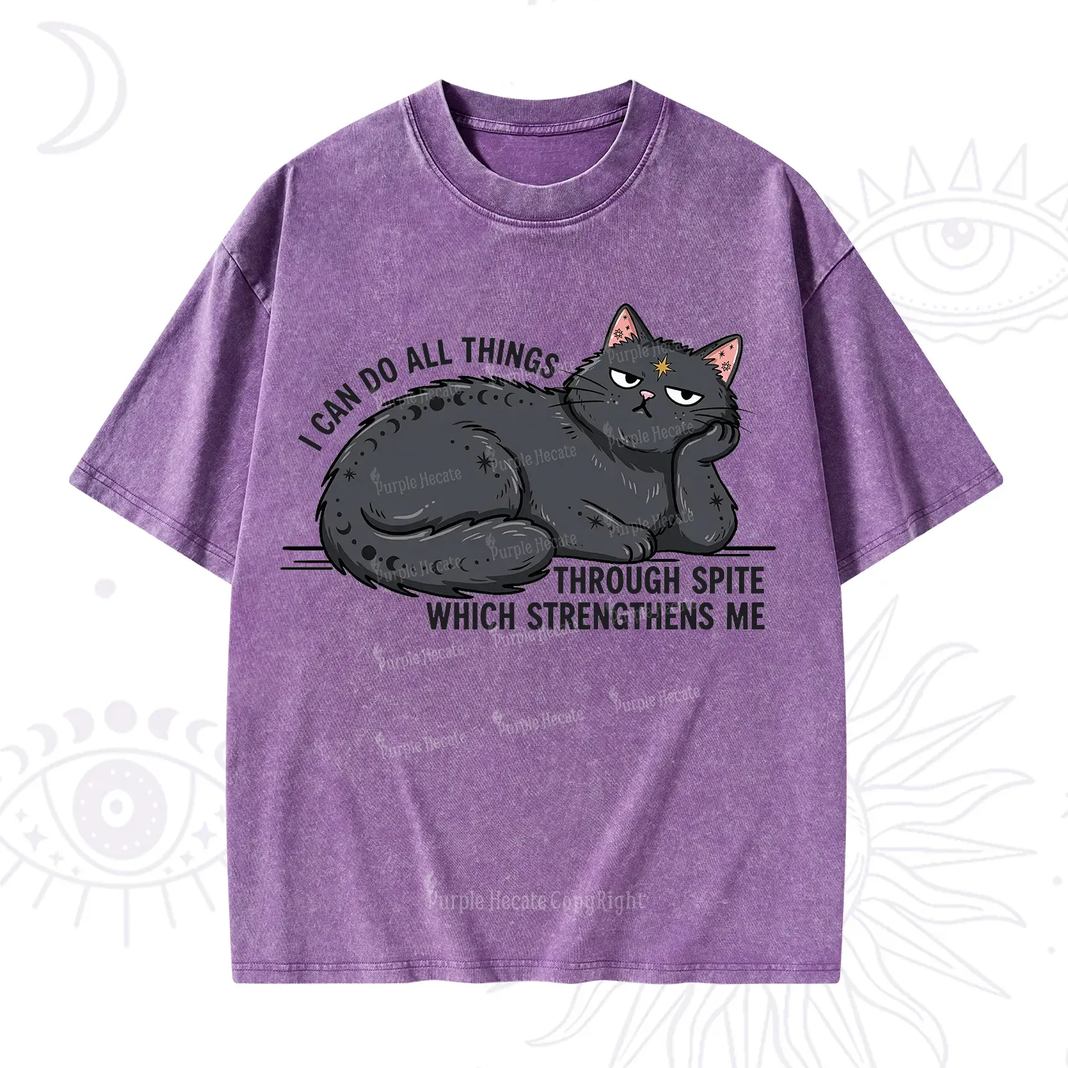 Purplehecate I Can Do All Things Spiteful Cat Washed T-Shirt
