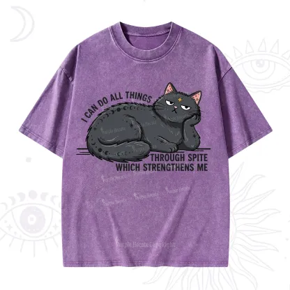 Purplehecate I Can Do All Things Spiteful Cat Washed T-Shirt