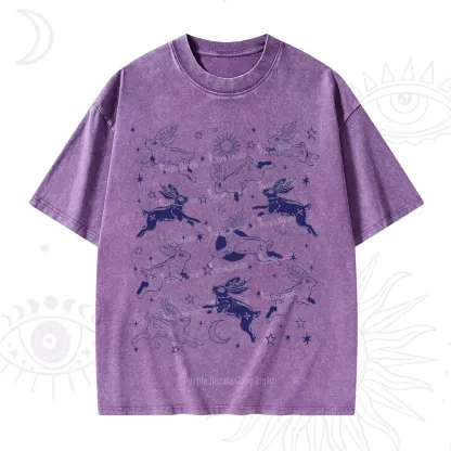 Purplehecate Bunnies in Space Washed T-Shirt