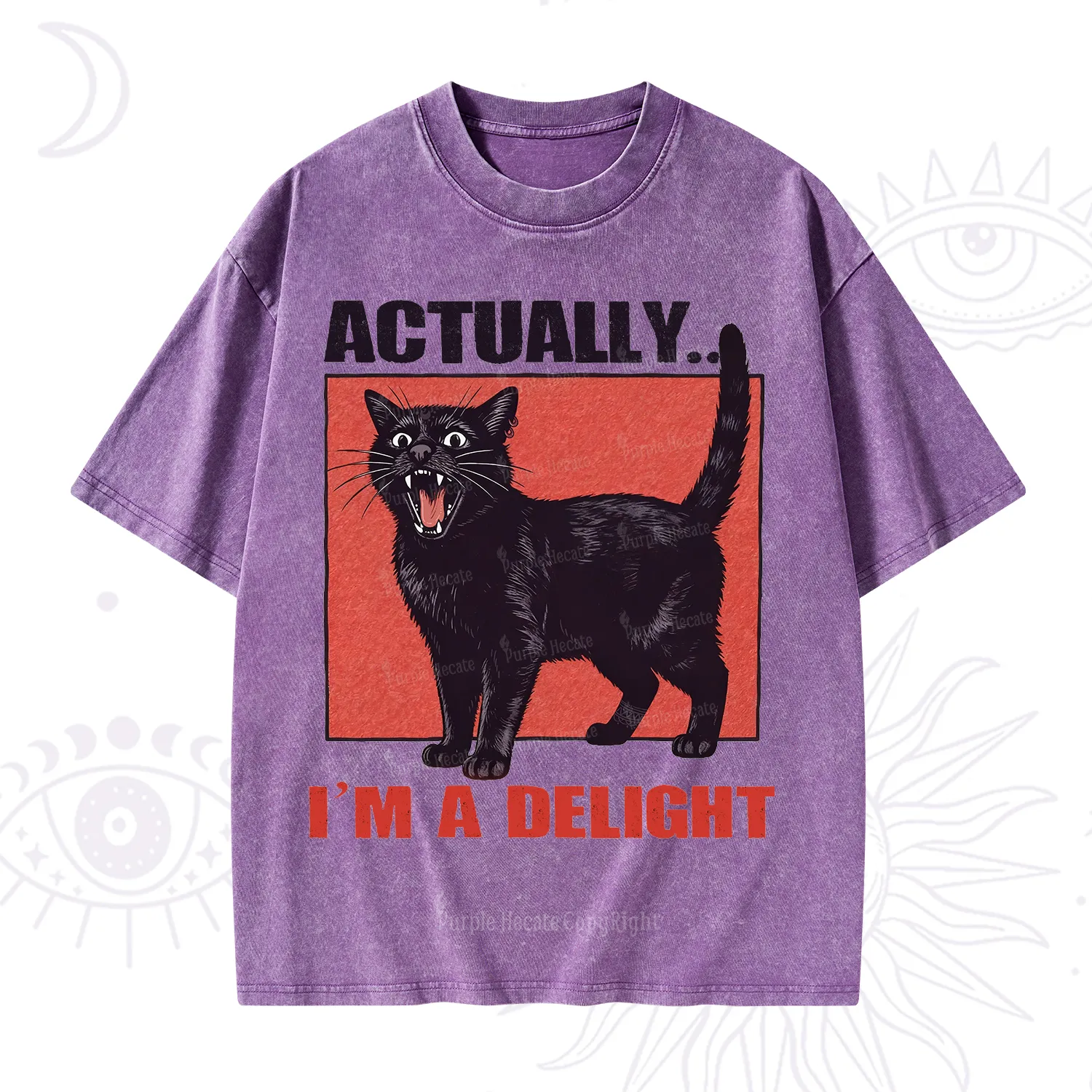 Purplehecate Actually Im a Delight Washed T-Shirt