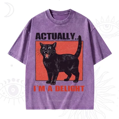 Purplehecate Actually Im a Delight Washed T-Shirt