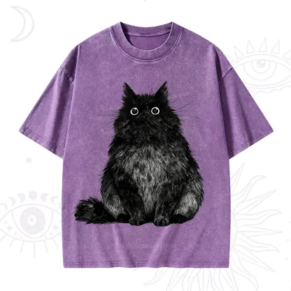Purplehecate Cute Black Fluffy Cat Washed T-Shirt