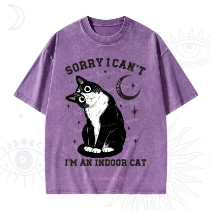 Purplehecate Sorry I Can't Go I'm an Indoor Cat Washed T-Shirt