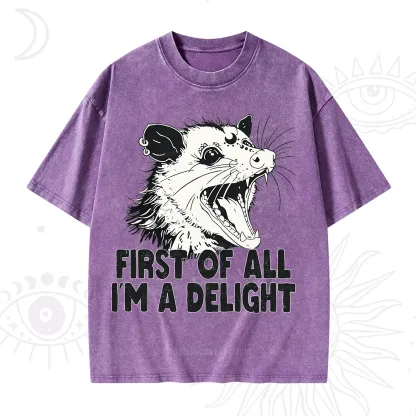 Purplehecate First Of All I'm A Delight Washed T-Shirt