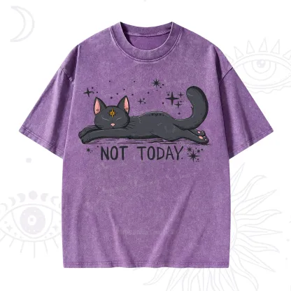 Purplehecate Not Today Cat Washed T-Shirt