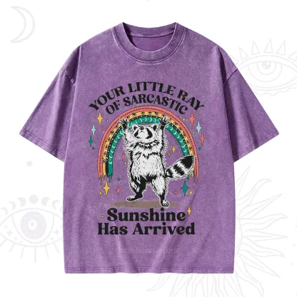 PurplehecateYour Little Ray of Sarcastic Sunshine Has Arrived Washed T-Shirt