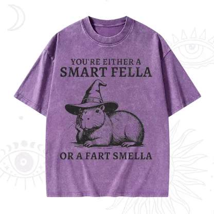 Purplehecate You're Either A Smart Fella or a Smart Fella Washed T-Shirt