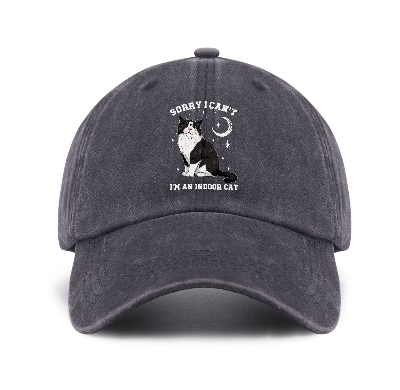 Purplehecate Sorry I Can't Go I'm an Indoor Cat Baseball Cap