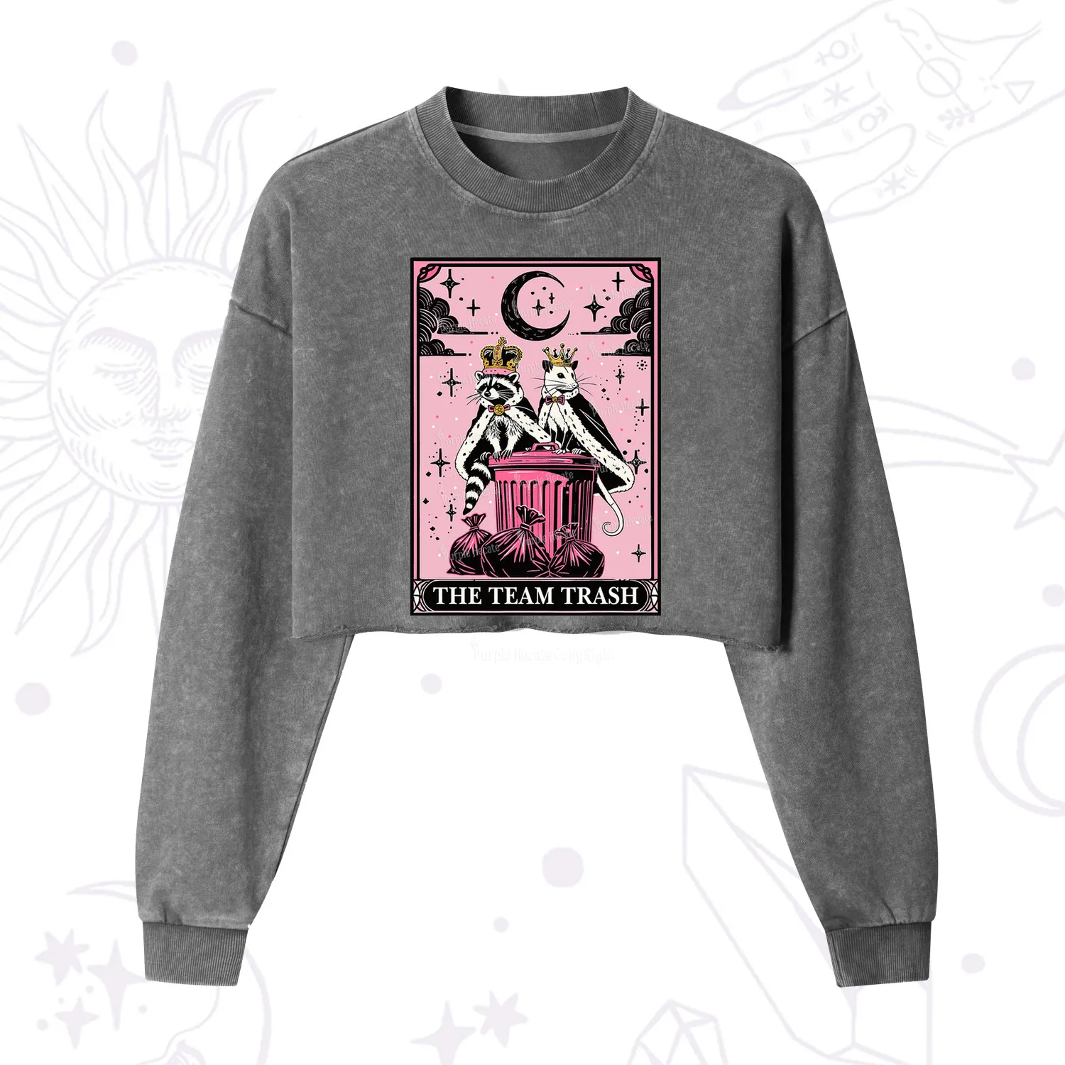 Purplehecate The Trash Kingdom's Tarot Opossum and Raccoon Cropped Washed Sweatshirt