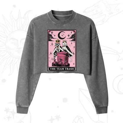 Purplehecate The Trash Kingdom's Tarot Opossum and Raccoon Cropped Washed Sweatshirt