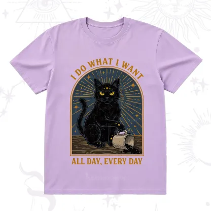 Purplehecate I Do What I What All Day T-Shirt