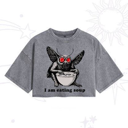 Purplehecate Mothman Eating Soup Washed Cropped T-Shirt